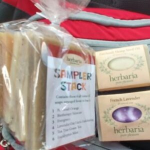 Our Journey To St Louis MO
