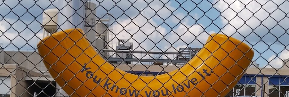 Giant yellow Kraft macaroni noodle sculpture with “You know you love it” slogan, located outside the Kraft factory in Springfield, Missouri. Hiding the Springfield Underground Cave Tours