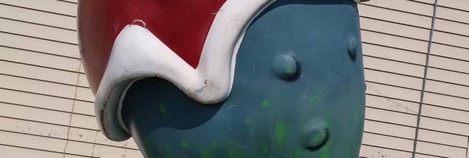 A person points at the World’s Largest Christmas Pickle sculpture in Fort Smith, AR—a 14-foot green pickle with a Santa hat, labeled by a sign above.