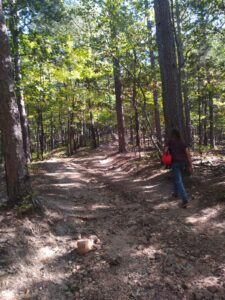 Gardens, Rockhounding and More