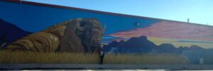Lawton, Oklahoma Art Murals