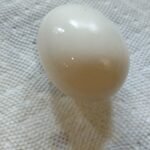 Peeled Instant Pot egg
