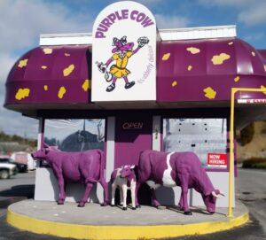 Front of Purple Cow ice cream shop in Johnson City, TN, with cartoon cow sign, purple spotted awning, and three purple cow statues out front. Another roadside attractions in Eastern Tennessee