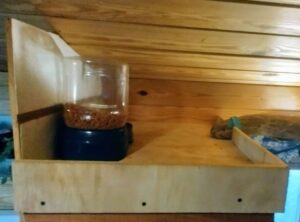 Cats using their kitchen