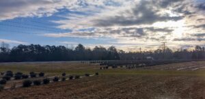 The Carolinas