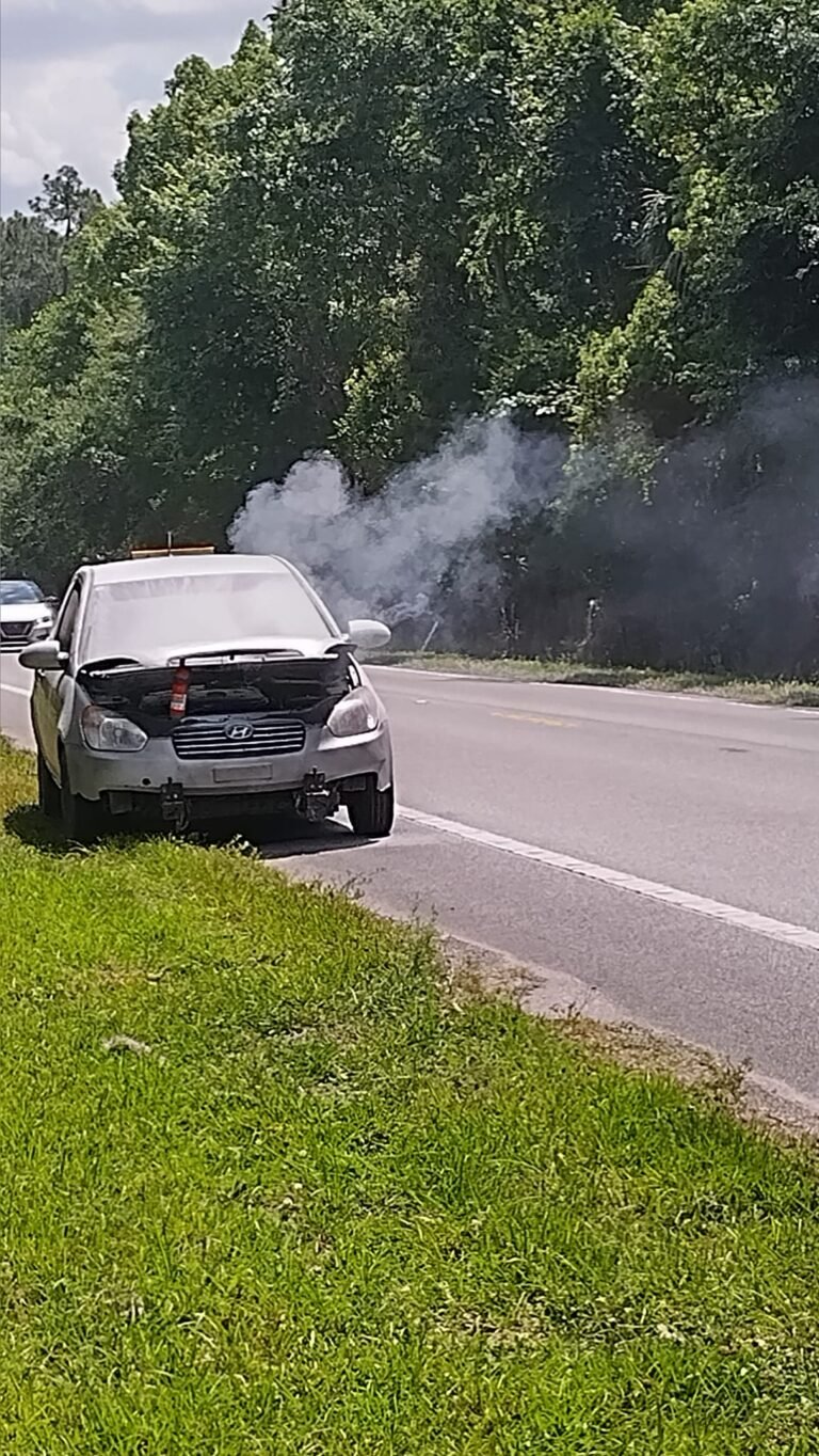 A white car pulled over on a roadside with smoke rising from the engine area, trees behind