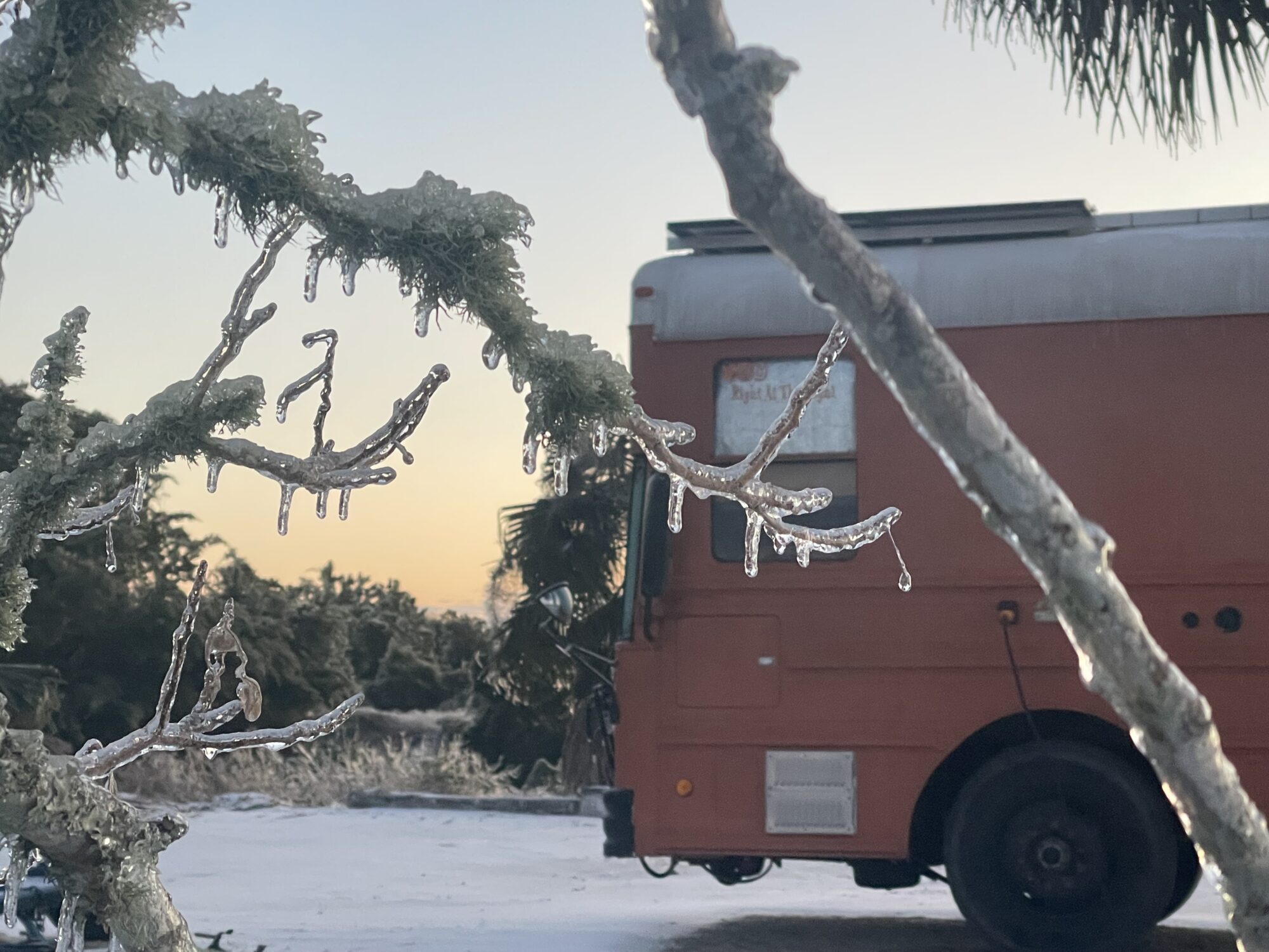 Icicle-covered tree branches in front of an orange bus parked in snow, with palm trees in the background—capturing the contrast and survival logic of Authentic Bus Life.