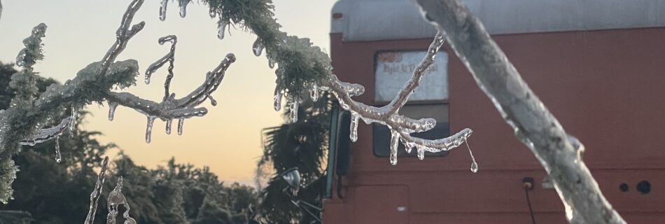 Icicle-covered tree branches in front of an orange bus parked in snow, with palm trees in the background—capturing the contrast and survival logic of Authentic Bus Life.