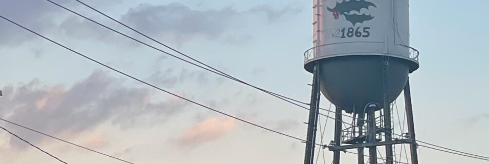 Holly Michigan water tower with green leaf logo and ‘1864’ text, photographed at sunrise with power lines and trees in foreground