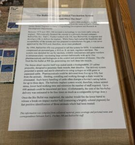 Animal vaccination gun prototype display showing Daisy BB gun designed to vaccinate cattle at Daisy Airgun Museum