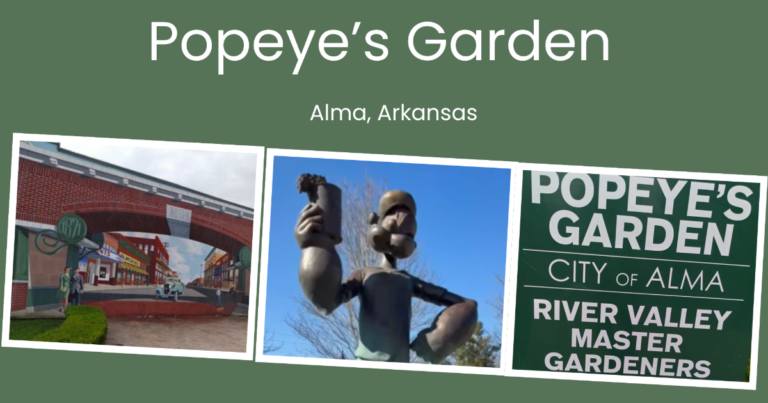 Popeye's Garden Featured image