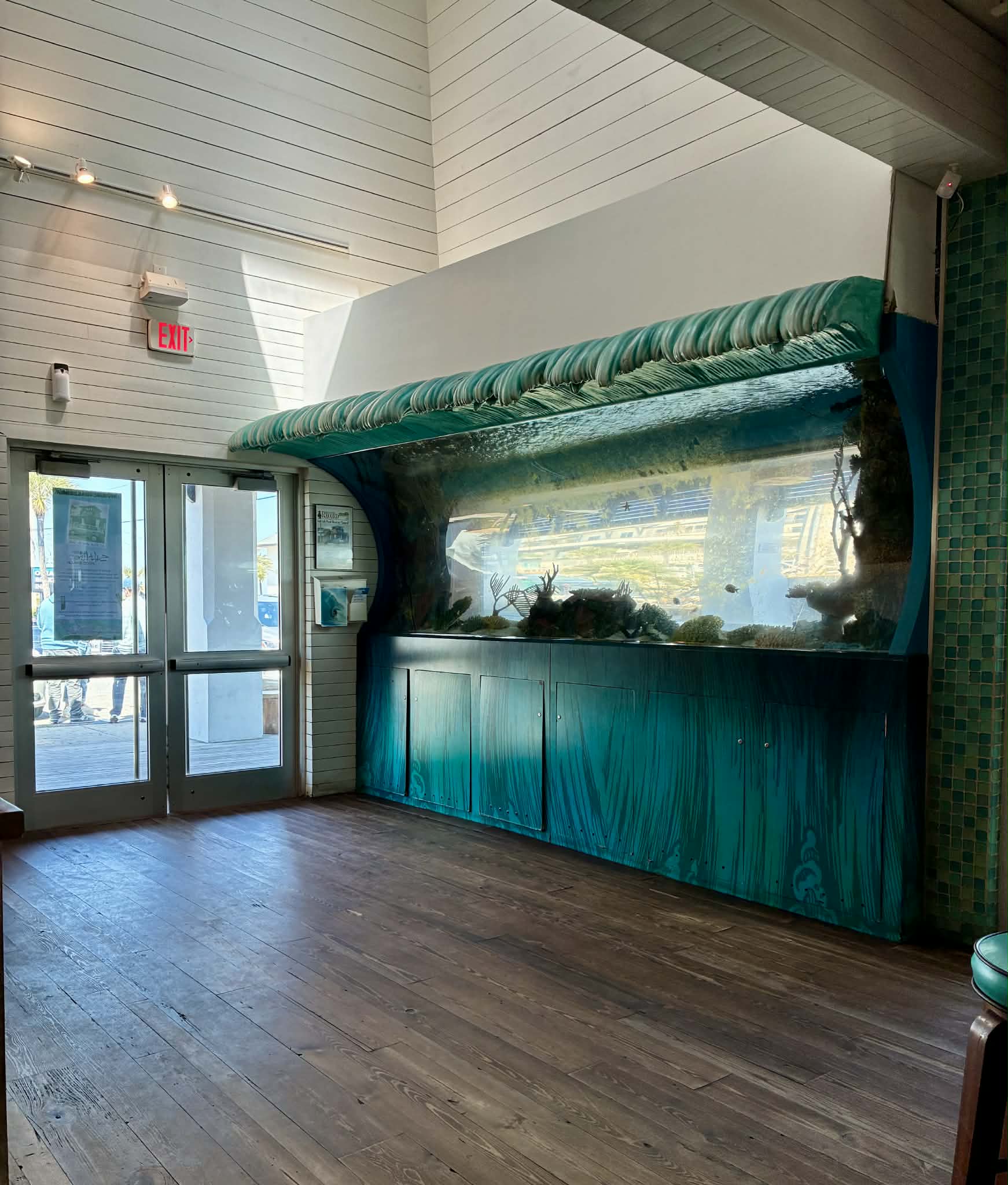 Custom wave-shaped Tanked aquarium built by ATM inside Salt Life Food Shack showing the full 15-foot saltwater tank from inside the restaurant in St. Augustine Beach Florida