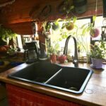 Plants growing in and around the kitchen sink window of a converted school bus
