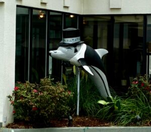 One of many decorated dolphins in the Virginia Beach area. This dolphin is dressed up in a tux and top hat