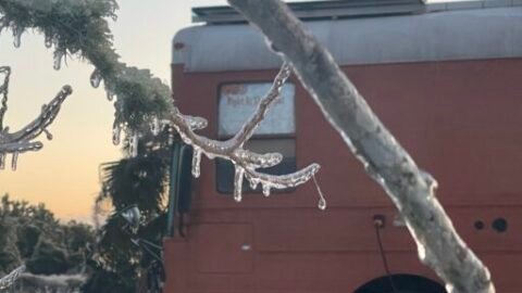 Orange bus hiding behind branches covered in ice.