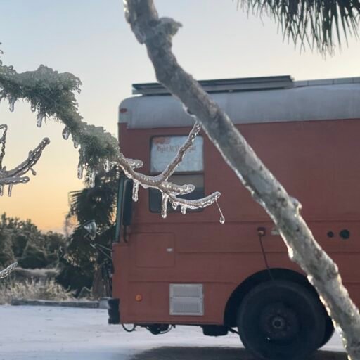 Orange bus hiding behind branches covered in ice.