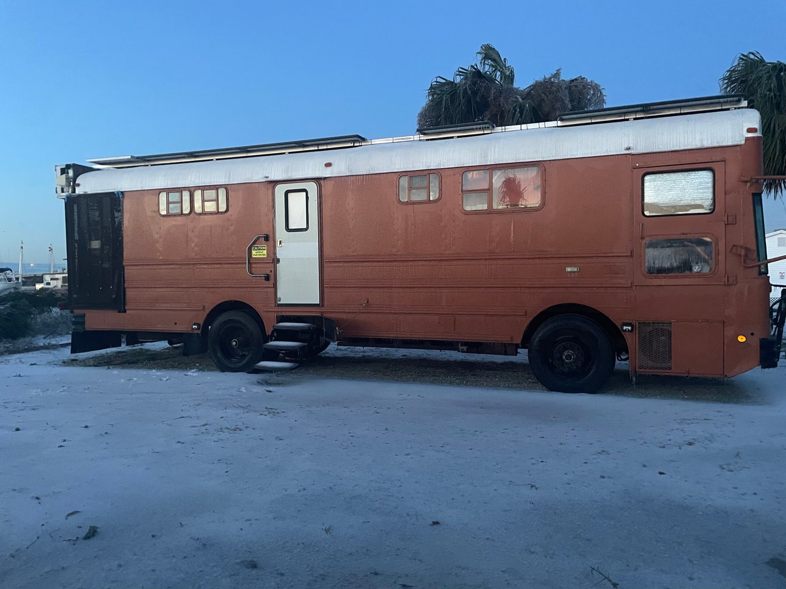 The Big Orange Bus, a converted school bus, parked on an icy morning with a cat watching from the front window