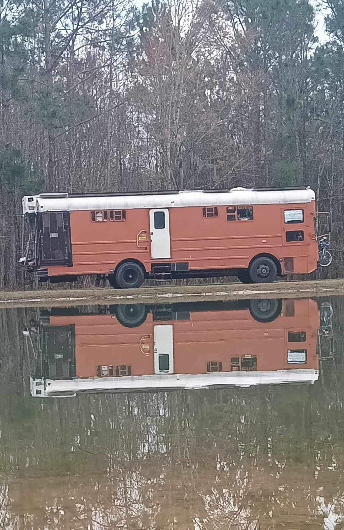 The Big Orange Bus reflected in still floodwater in front of a winter tree line