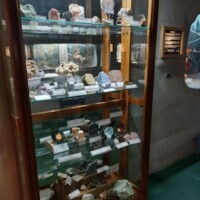 Mineral and rock collection display case at Call of the Wild with various geological specimens on glass shelves