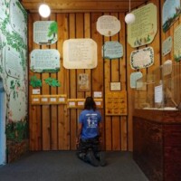 Visitor examining educational wall displays and informational plaques at Call of the Wild museum interior