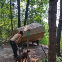 Person with two dogs on forest trail at Agnes Andreae Nature Preserve Michigan — observing elevated wooden shelter with angled design and green signpost