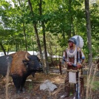Life‑size Native American figure in feathered headdress stands beside a bison in a wooded park display, with benches tucked in the background.