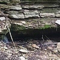 Water seeps from a moss‑cloaked rock crevice at the base of a layered cliff, trickling into a scatter of stones and twigs on the forest floor.