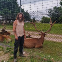 Person standing near fenced elk enclosure at Elk View Park in Gaylord, Michigan. One elk with prominent antlers lies close to the fence, while others rest in the background. Trees, dirt path, and cloudy sky frame the outdoor viewing area next to the Elk's Lodge Gaylord Michigan elk viewing site.