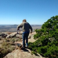 Hiker holding a leashed brown dog on a rocky outcrop at Mount Scott, Oklahoma, with grassy patches, a small green bush to the right, and expansive plains stretching under a clear blue sky.