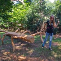 Large wooden insect sculpture made from logs and branches at the Botanical Garden of the Ozarks, with a person posing playfully beside it, one arm bent and raised in a chaotic reaction moment tagged for zach-chaos-duo-2