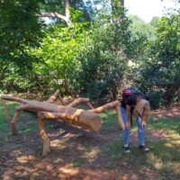 Large wooden insect sculpture made from logs and branches at the Botanical Garden of the Ozarks, with a person bent over mimicking its posture in a playful moment tagged for Zach-induced chaos