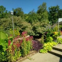 Garden pathway bordered by red, purple, and green foliage at the Botanical Garden of the Ozarks, with concrete steps, a lamp post on the left, and a white canopy structure on the right under a clear blue sky