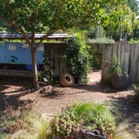 Small enclosed garden area with ornamental grasses, succulents, and a large potted plant near an open wooden gate at the Botanical Garden of the Ozarks, shaded by a tree and backed by a mural-painted wall with abstract shapes, featuring a circular stone-like decorative object on the ground and mulch-covered paths
