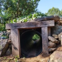 Tunnel-like structure made from a large cylindrical pipe supported by weathered wooden beams and surrounded by rocks at the Botanical Garden of the Ozarks, with soil and green leafy plants covering the top to blend into the natural environment, set among trees and vegetation