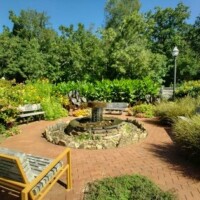 Circular stone fountain with flowing water surrounded by brick-paved pathway and wooden benches at the Botanical Garden of the Ozarks, with lush greenery, tall trees, and a lamppost under a clear blue sky