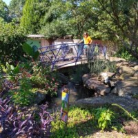 Small arched blue metal bridge crossing a narrow stream or pond at the Botanical Garden of the Ozarks, with a person in a bright orange shirt and jeans leaning on the railing, surrounded by lush greenery, purple foliage, flowering bushes, large rocks, and a colorful vertical marker in the foreground, with a light-roofed structure partially visible in the background