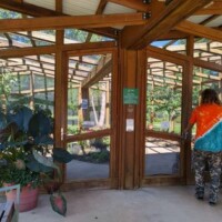 Wood and glass Butterfly House structure with a slanted transparent roof at the Botanical Garden of the Ozarks, with a person in a tie-dye shirt and camouflage pants standing at the entrance, surrounded by potted leafy plants and informational signage