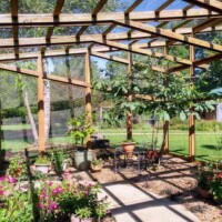 Wood-framed Butterfly House structure with transparent mesh panels at the Botanical Garden of the Ozarks, featuring potted plants and flowers arranged along the sides and center, with a small table and chairs placed in the middle for relaxation, surrounded by trees and grass with sunlight filtering through the roof