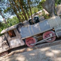 Concrete sculpture of a vintage steam locomotive painted gray with pink wheels at the Botanical Garden of the Ozarks, with a person in sunglasses and a hat peeking out from the cab window, surrounded by trees and greenery, and the number ‘9’ visible on the side of the train