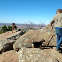 Hiker in a beige jacket and jeans standing on a rocky outcrop with two dogs, one perched on a boulder and the other at their side, overlooking rolling hills from Mount Scott, Oklahoma, under a clear blue sky.