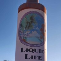 The World's Largest Bottle of Hair Tonic, a quirky tribute to vintage hair care advertisements.