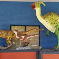 Meadow Gold District Tulsa dinosaur sculptures against a blue and orange wall, featuring a green long-necked figure, a brown raptor-style model, and a smaller white dinosaur, with a visitor posing playfully in front.