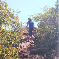 Hiker ascending a steep, rocky trail toward the Jed Johnson Watchtower Lawton Oklahoma, surrounded by green shrubs and small trees under a bright blue sky.