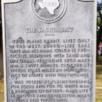 Texas historical marker plaque with state outline describing the jackrabbit and World's Largest Jackrabbit history in Odessa