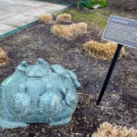 Bronze sculpture titled “Grandfather Turtle” by David Turner, featuring a large turtle with smaller turtles on its back, set in a landscaped garden near the H.U. Lee International Gate in Little Rock; accompanied by a plaque honoring family legacy and the wisdom of grandparents.