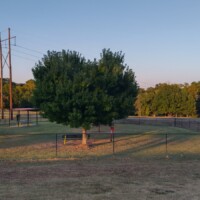Multiple fenced sections and shaded areas at Benjamin's Biscuit Acres Dog Park Tulsa