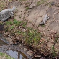 Small stream with grassy and rocky banks featuring stone statues of a turtle and a lizard positioned as if climbing from the water in a naturalistic outdoor setting.