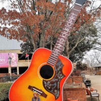 Vibrant orange and red Grand Ole Opry guitar sculpture with floral designs, displayed outdoors. A person sits cross-legged in front, smiling, with trees and a building behind them.