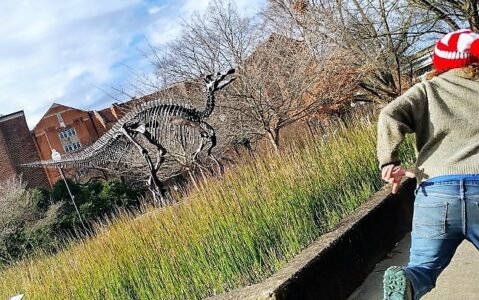 Person walking past a dinosaur skeleton statue in tall grass