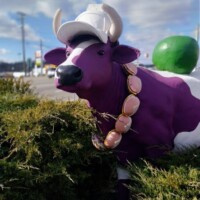 Purple and white cow statue with white cap and a necklace made of miniature burgers, standing near the road outside the Purple Cow in Johnson City, TN.